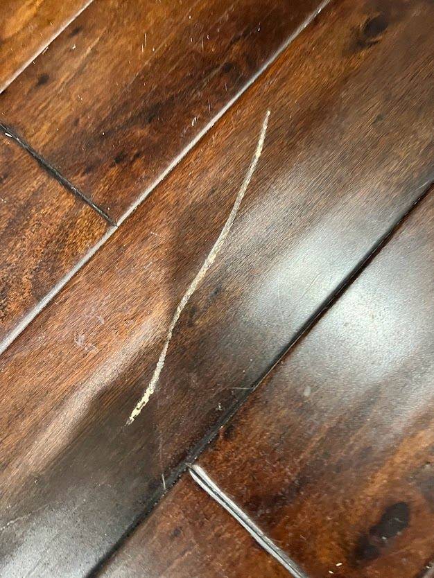 Common Repairs Needed for Hardwood Floors — project photo by The Hardwood Guys