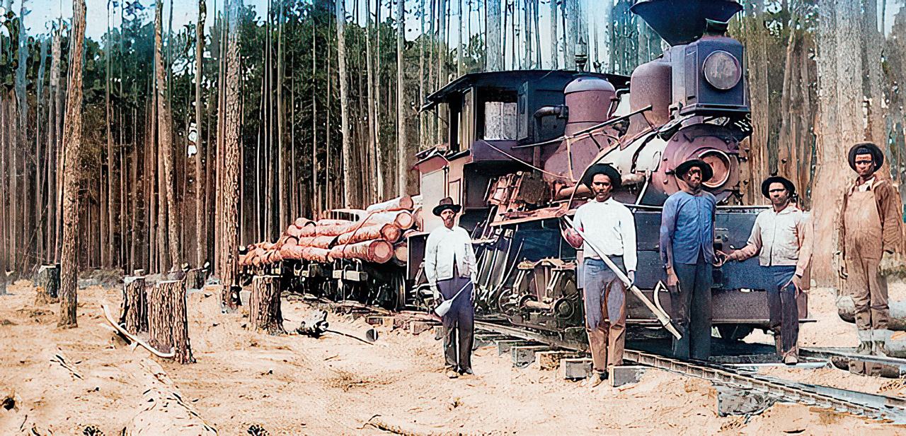 River Logging - Finding Logs from 140 Years Ago - History of — project photo by The Hardwood Guys