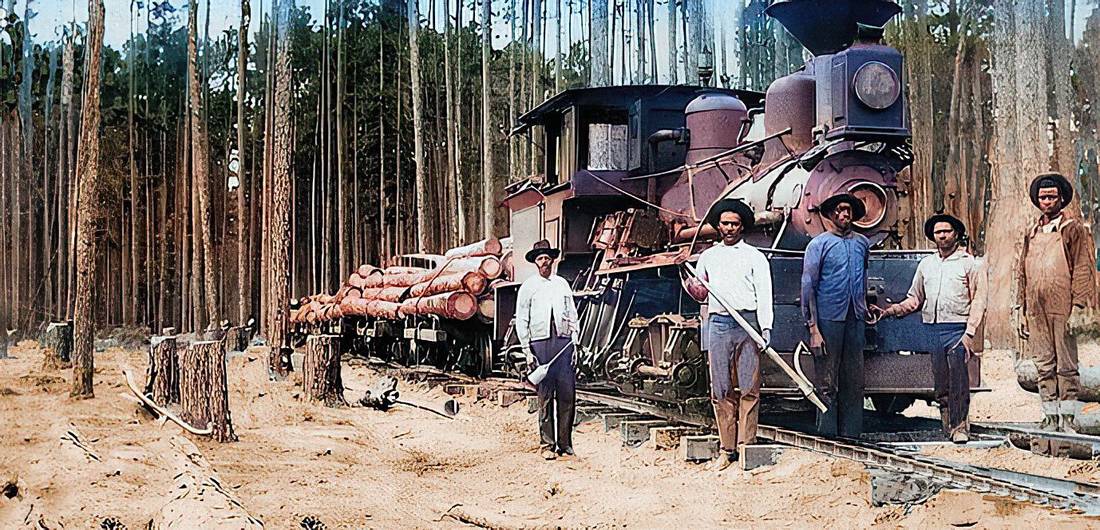 River Logging - Finding Logs from 140 Years Ago - History of — project photo by The Hardwood Guys