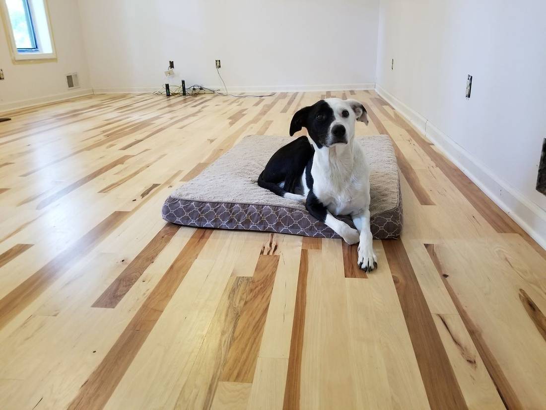 Rustic Hickory — project photo by The Hardwood Guys