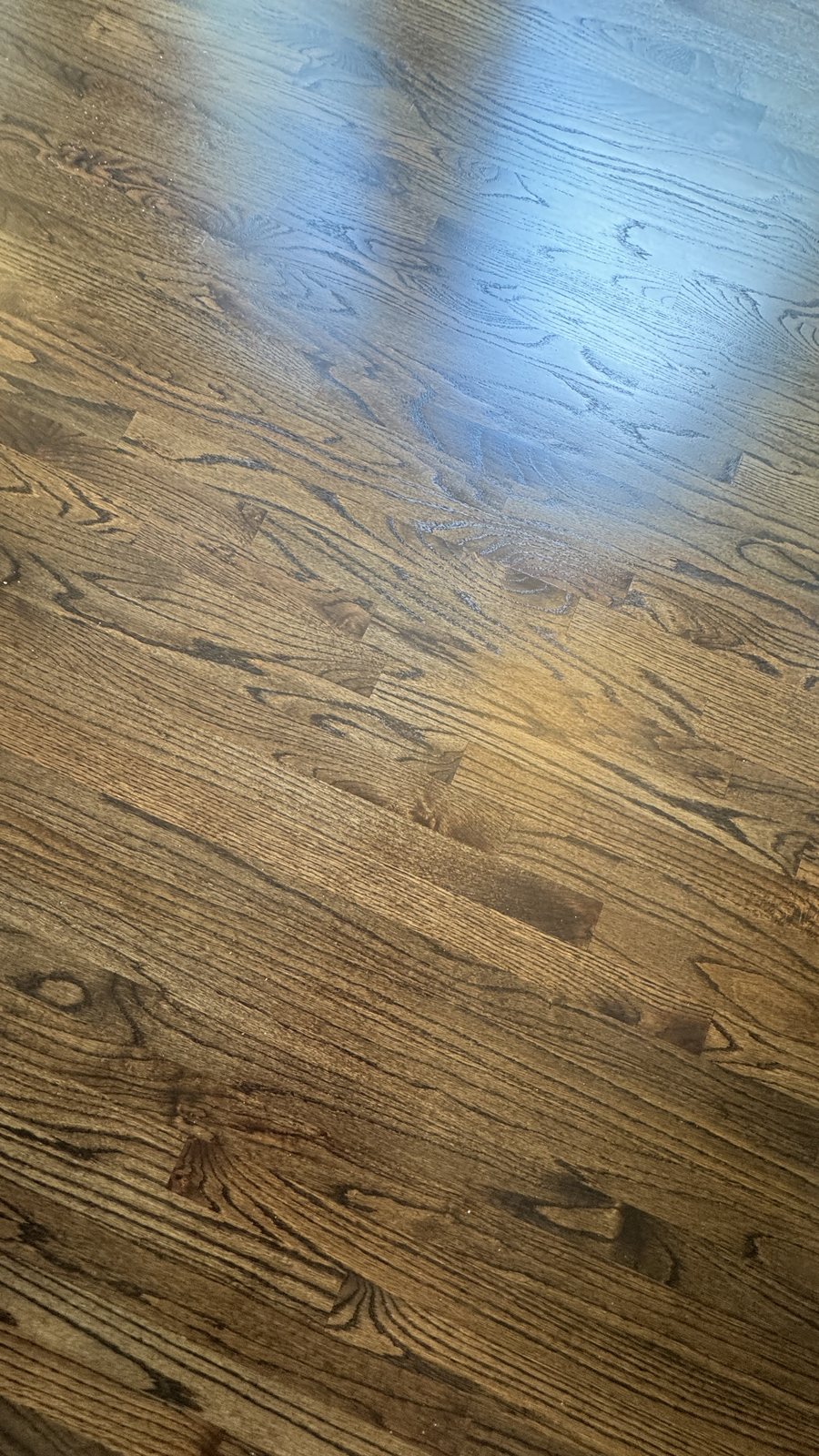 Close-up of red oak hardwood plank grain in Dark Walnut stain with matte finish