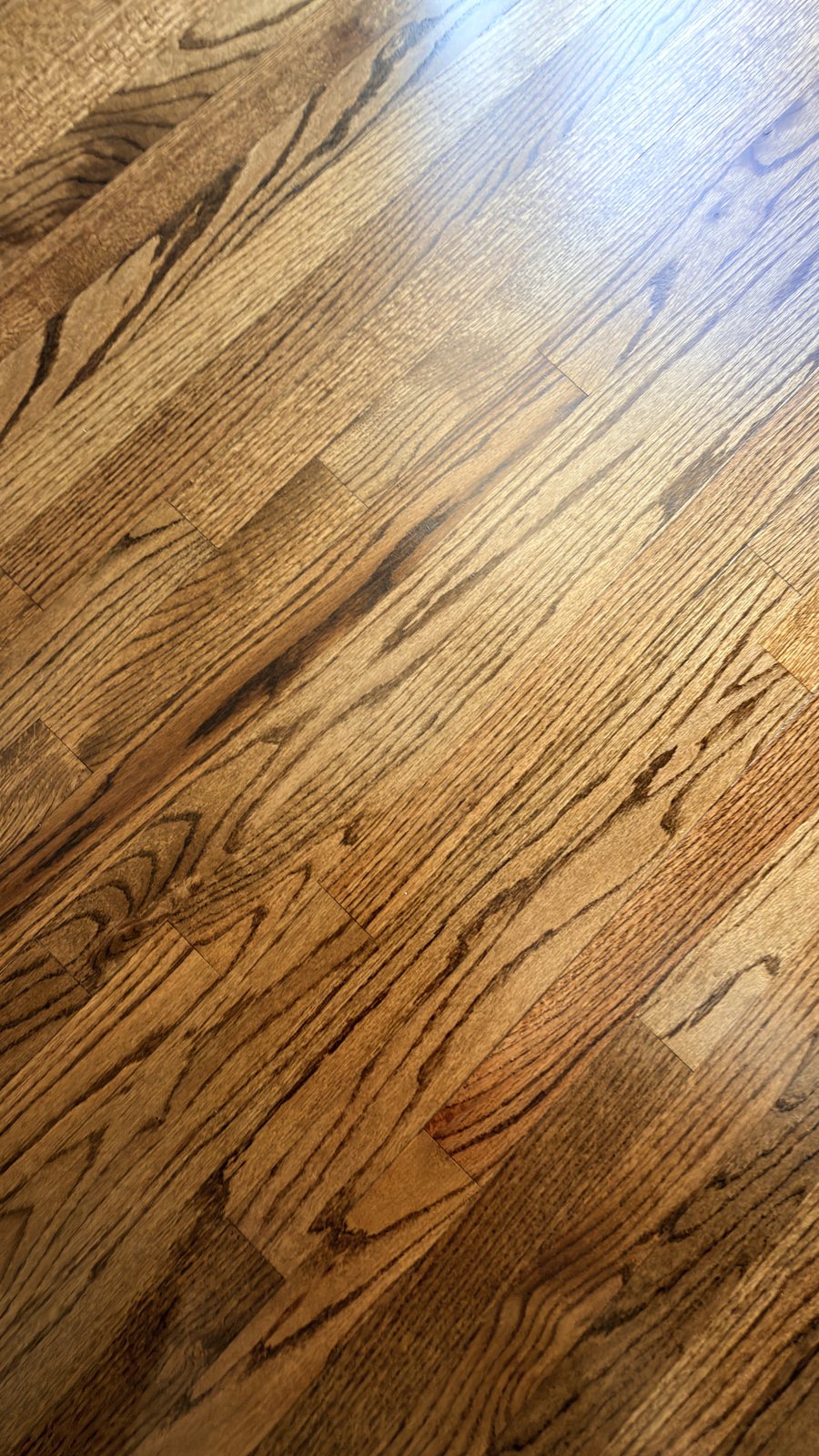 Close-up of red oak hardwood flooring stained Honey with a matte finish, diagonal plank view showing warm golden-brown grain