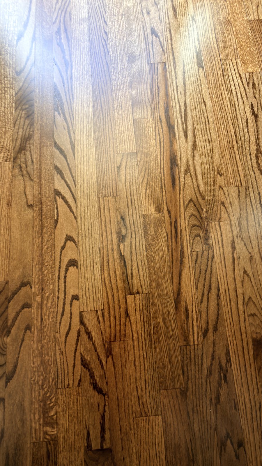 Red oak hardwood floor in Honey stain with matte finish, angled close-up of grain and board seams